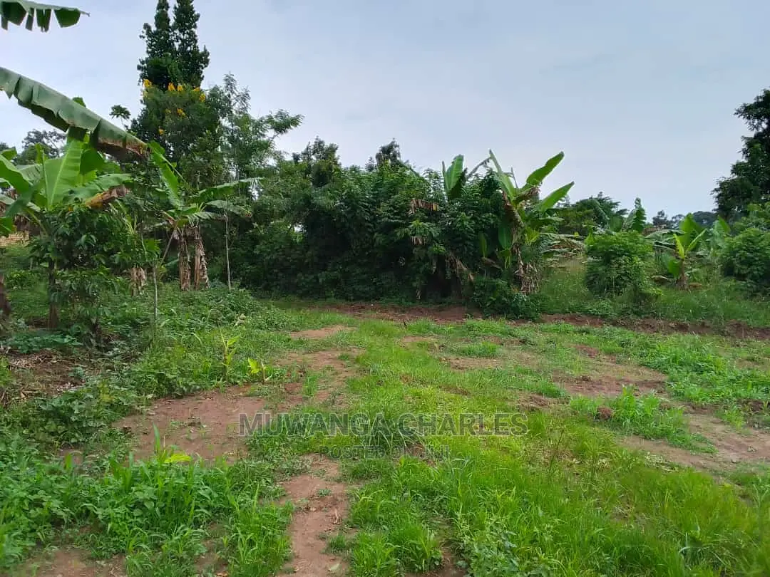 Land in Wabutungulu on Quick Sale in Central Division