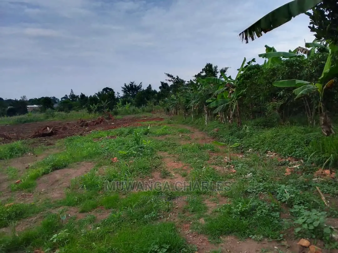 Land in Wabutungulu on Quick Sale in Central Division
