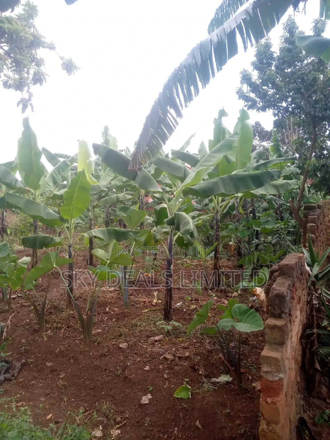 100by50ft Plot on Sale at Kyanja in Nakawa
