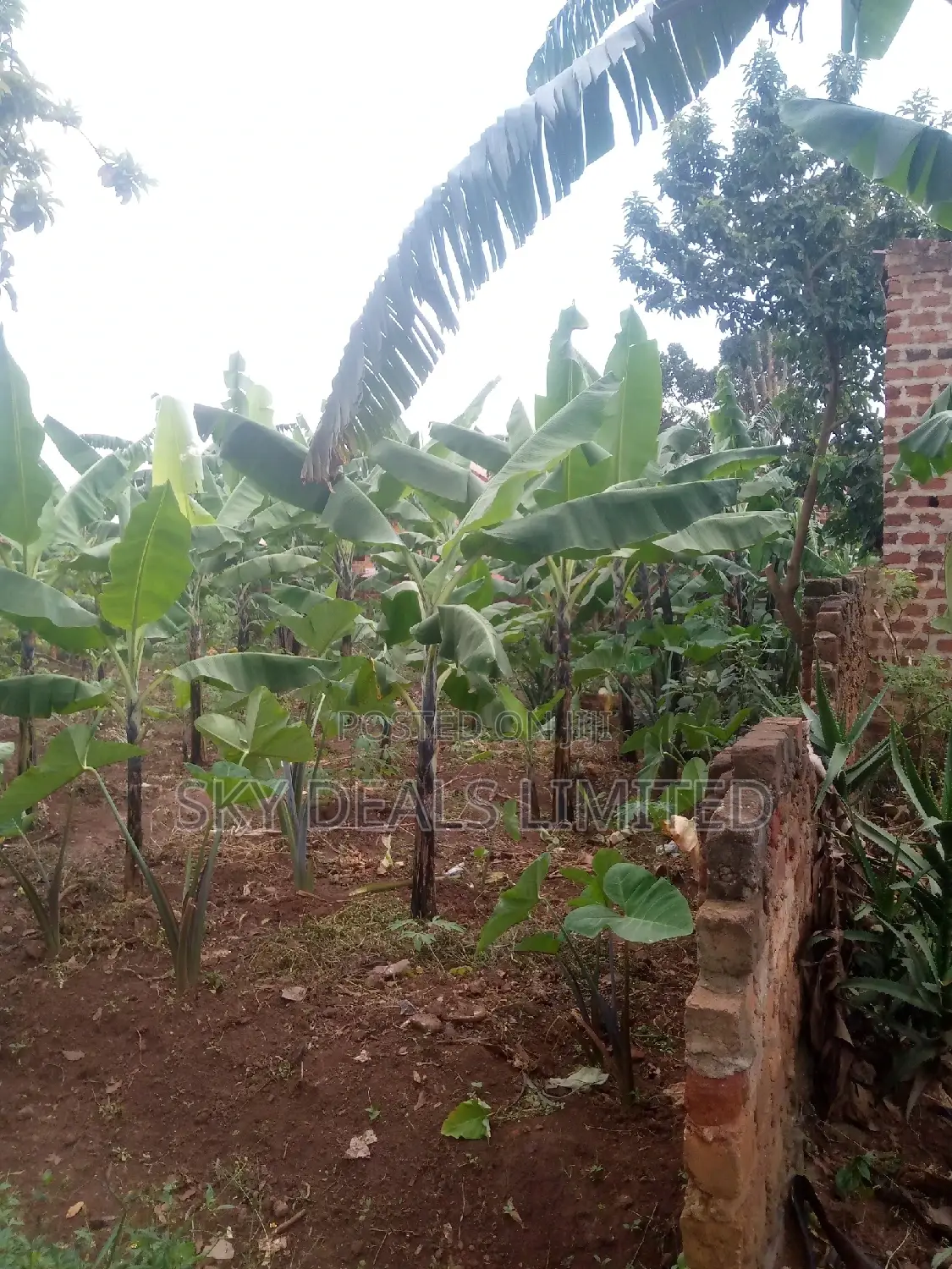 100by50ft Plot on Sale at Kyanja in Nakawa