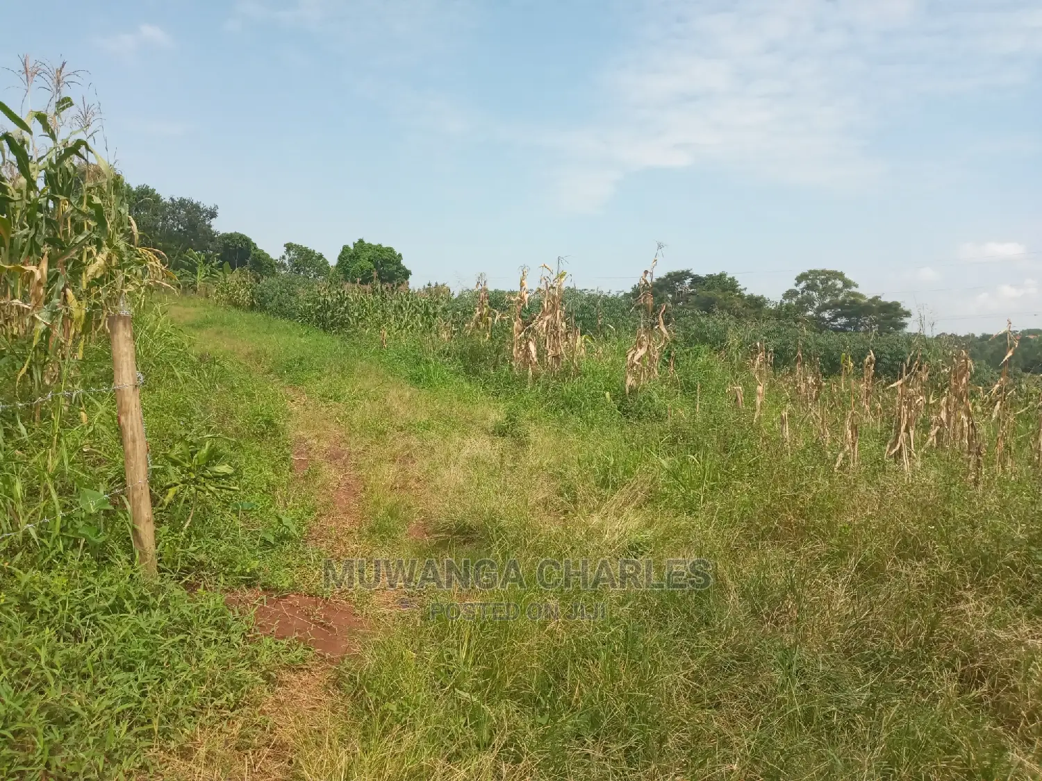 Plot in Busika on Quick Sale in Central Division