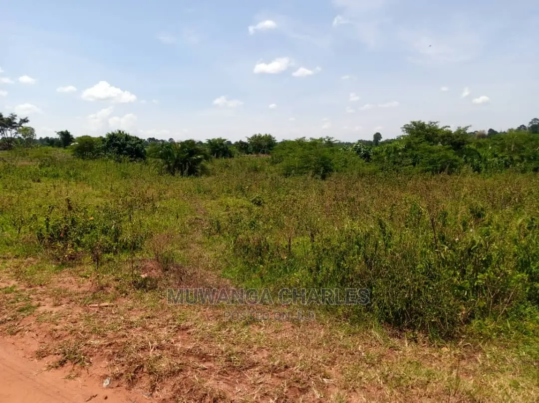 Plot in Busika on Quick Sale in Central Division