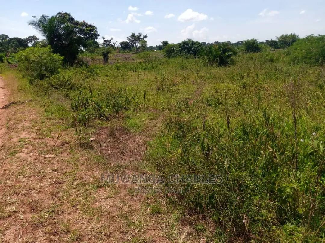 Plot in Busika on Quick Sale in Central Division
