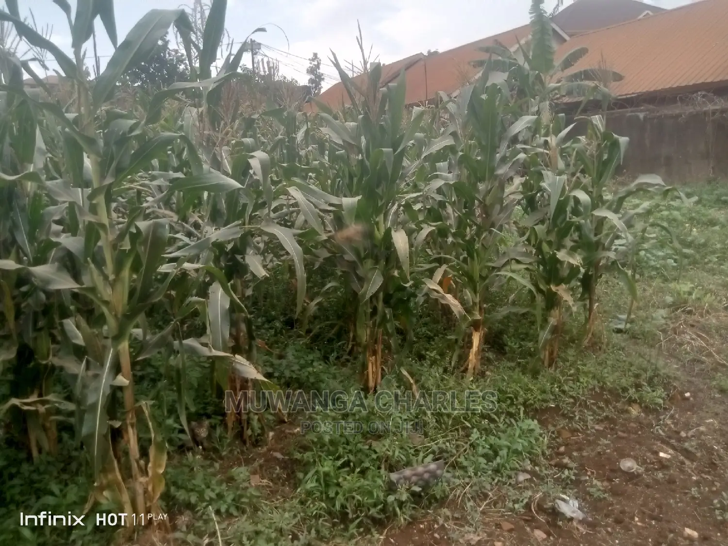 Commercial 1acre in Bweyogerere on Quick Sale in Central Division