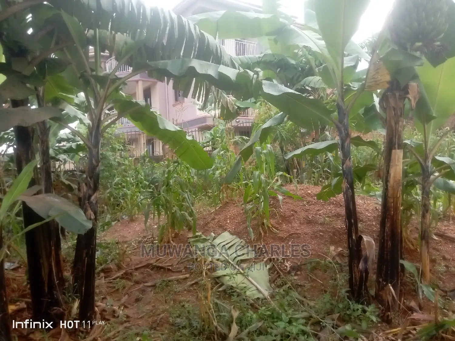 Plots in Kisaasi on Quick Sale in Central Division