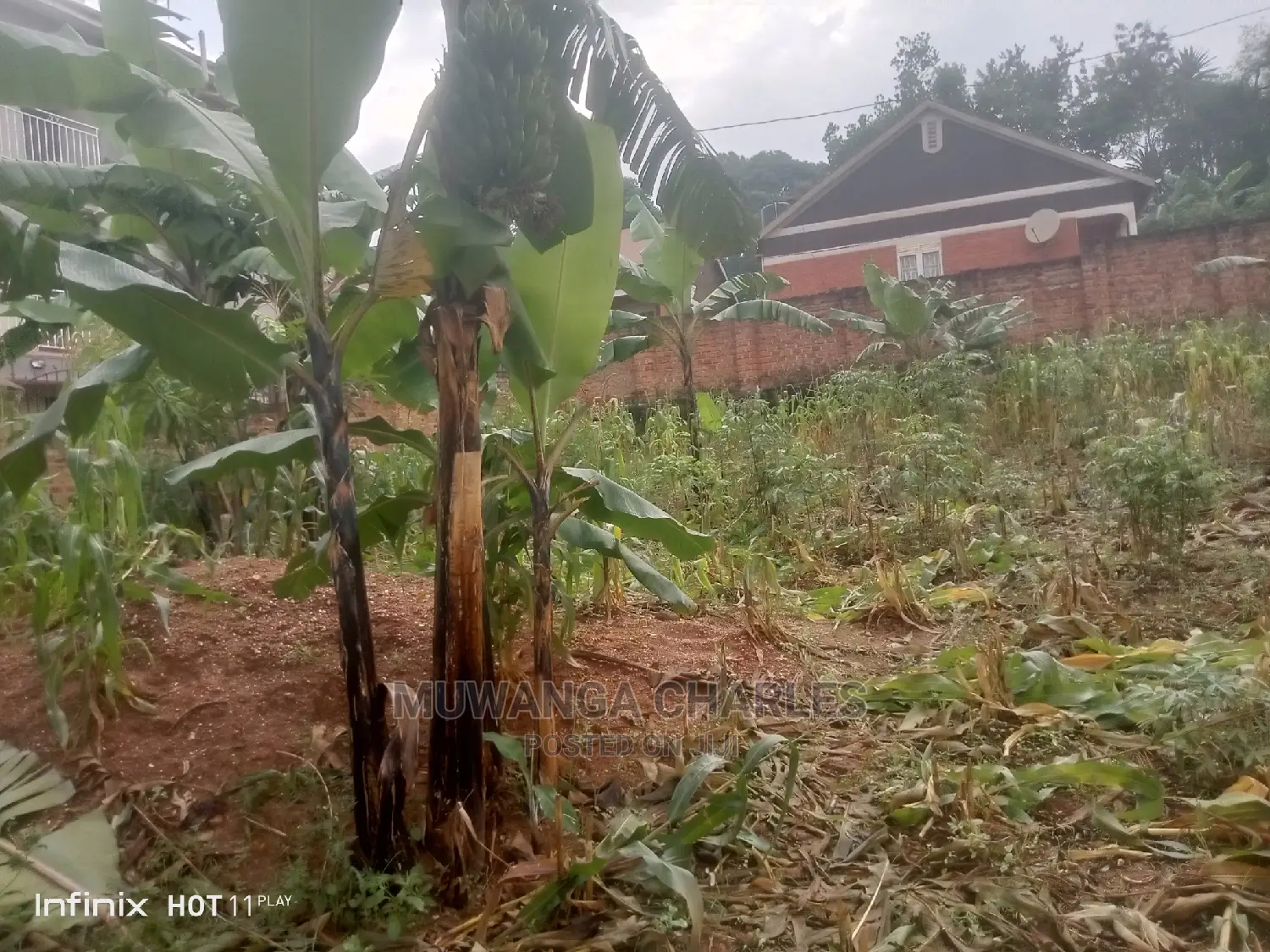Plots in Kisaasi on Quick Sale in Central Division
