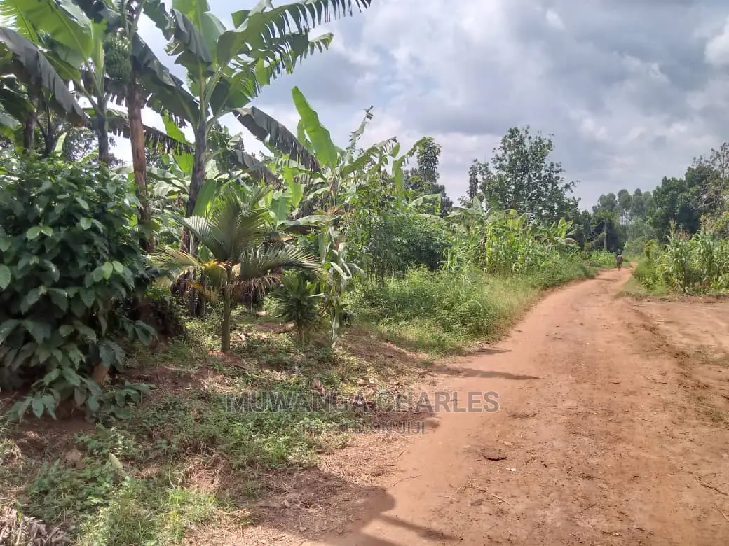 70acres of Land in Sanga Bumbale on Quick Sale in Central Division