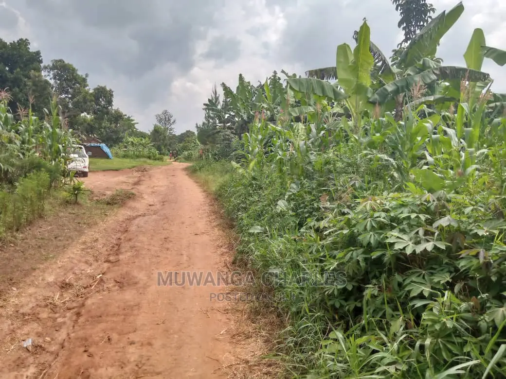 70acres of Land in Sanga Bumbale on Quick Sale in Central Division