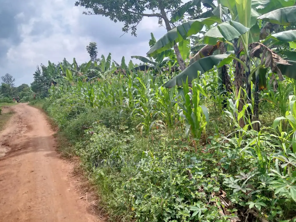 70acres of Land in Sanga Bumbale on Quick Sale in Central Division
