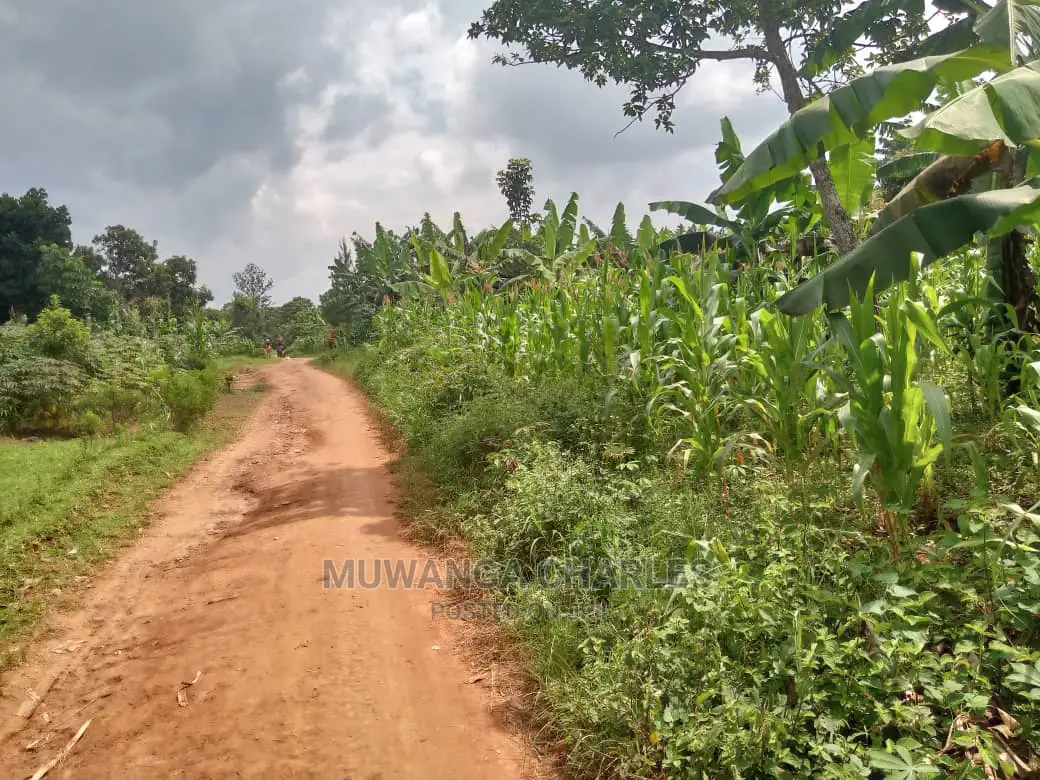 70acres of Land in Sanga Bumbale on Quick Sale in Central Division