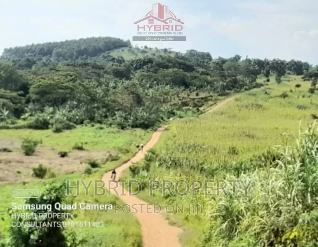 Fertile 640acres for Rent at Busunju~Sekanyonyi Hoima Road. in Ssekanyonyi