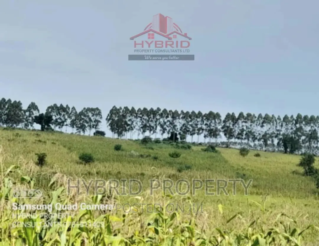 Fertile 640acres for Rent at Busunju~Sekanyonyi Hoima Road. in Ssekanyonyi