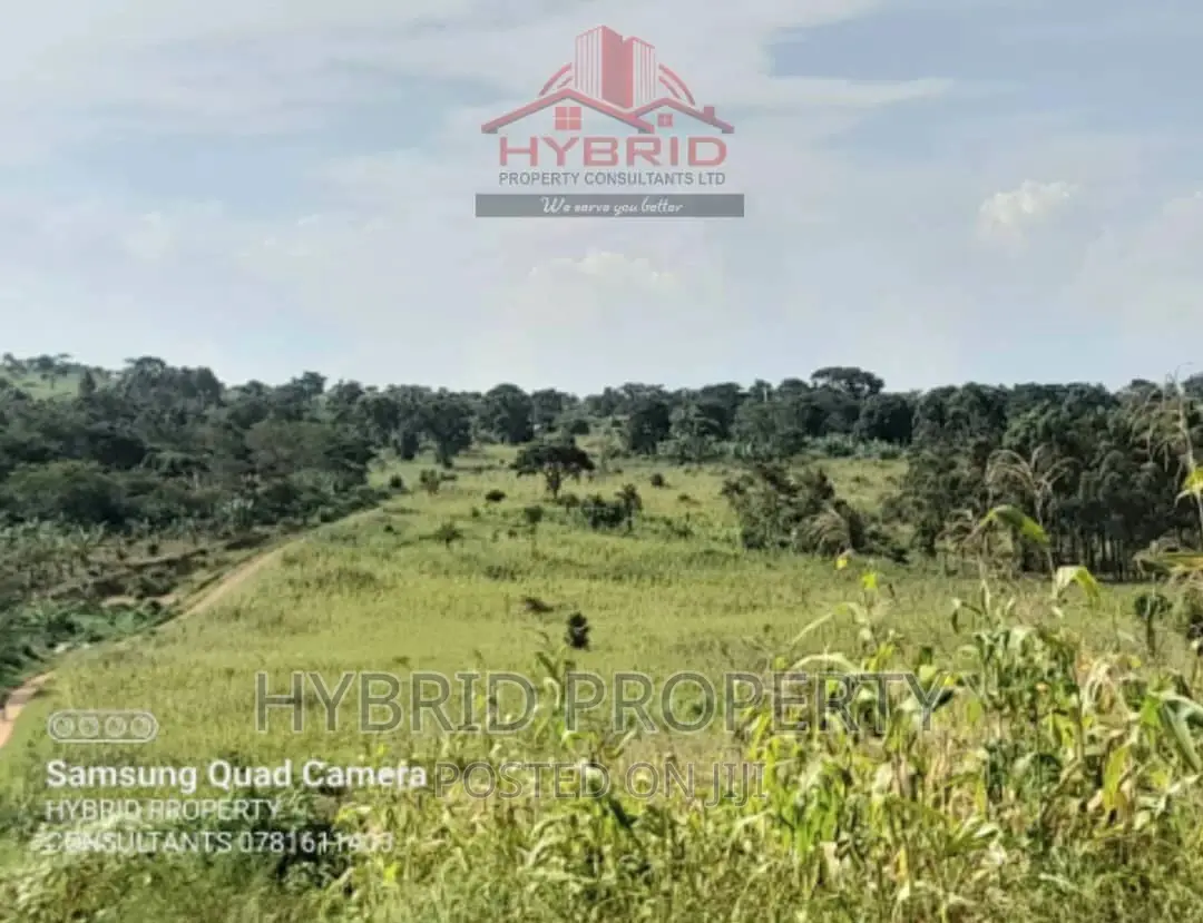 Fertile 640acres for Rent at Busunju~Sekanyonyi Hoima Road. in Ssekanyonyi