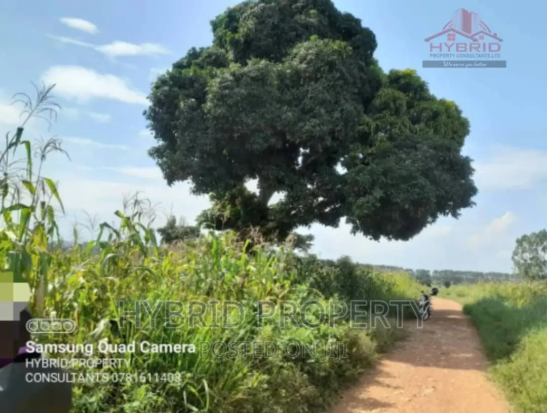 Fertile 640acres for Rent at Busunju~Sekanyonyi Hoima Road. in Ssekanyonyi