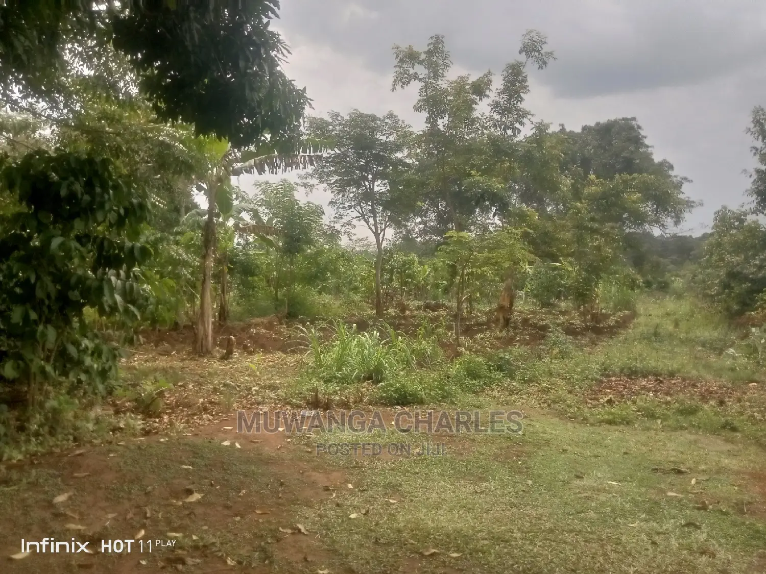 2acres of Land in Wobulenzi Luwero on Quick Sale in Central Division