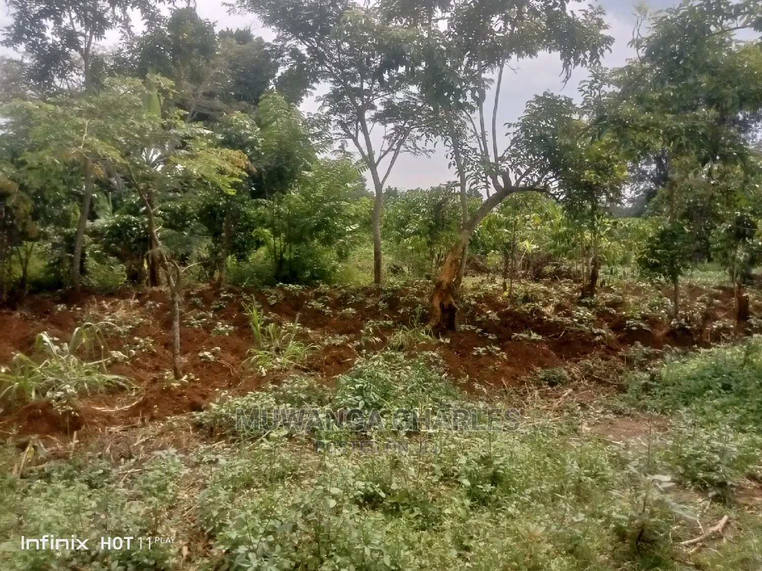 2acres of Land in Wobulenzi Luwero on Quick Sale in Central Division