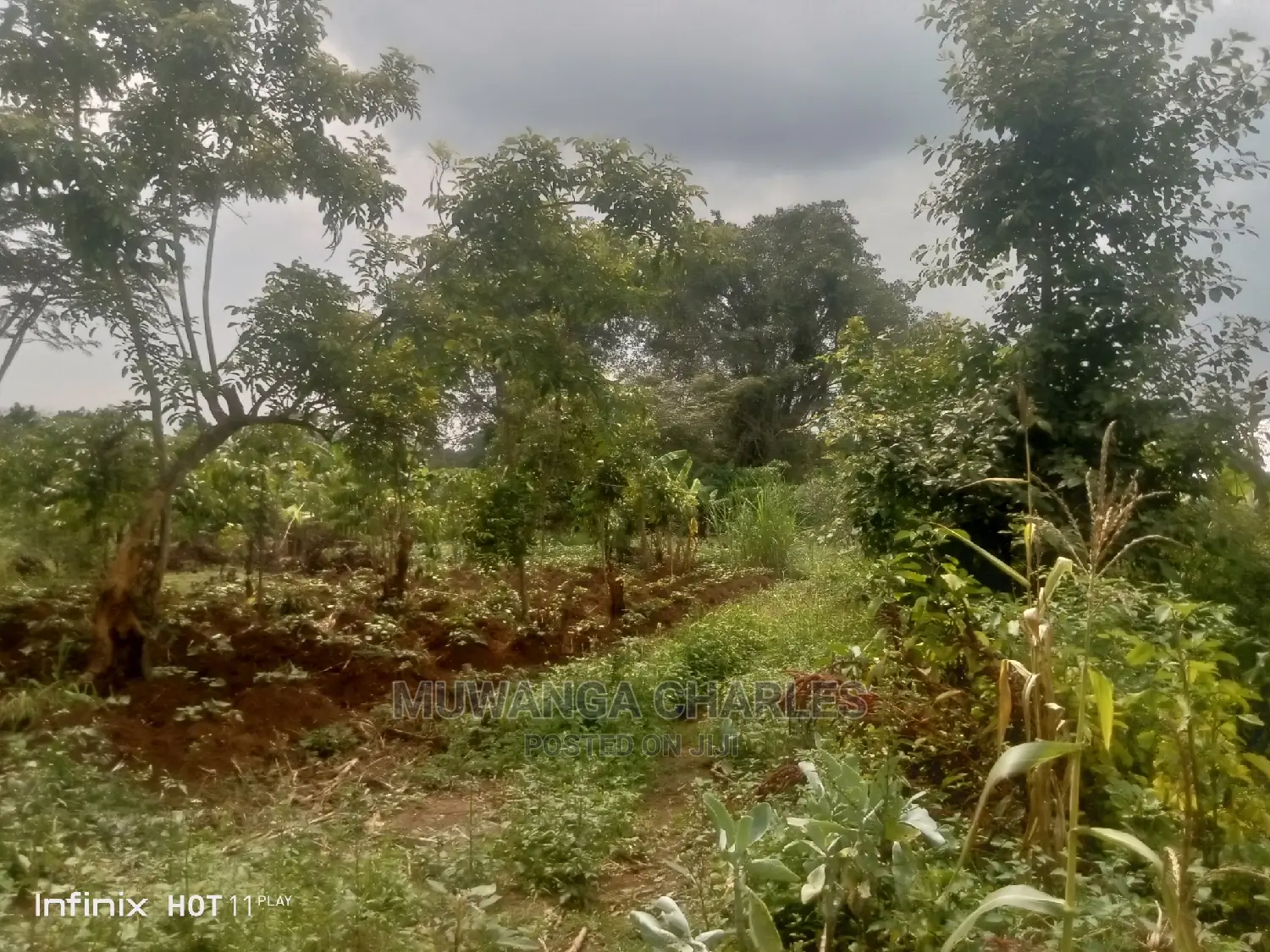2acres of Land in Wobulenzi Luwero on Quick Sale in Central Division