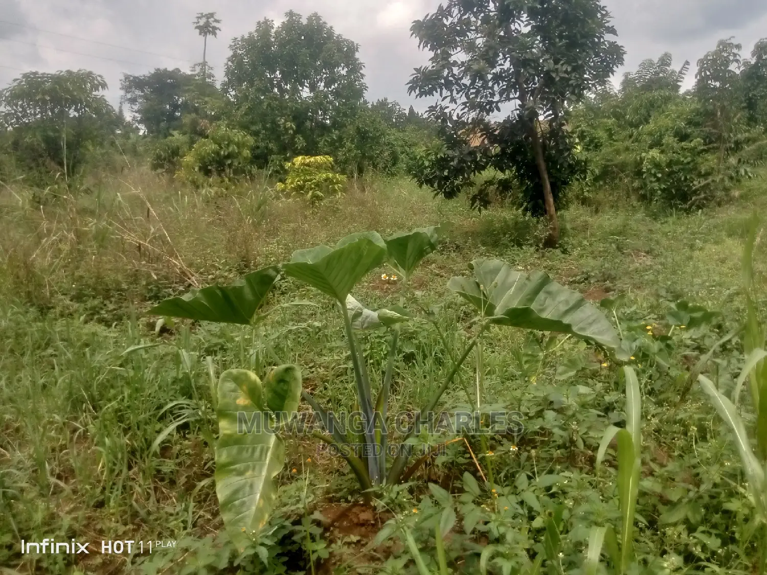 2acres of Land in Wobulenzi Luwero on Quick Sale in Central Division