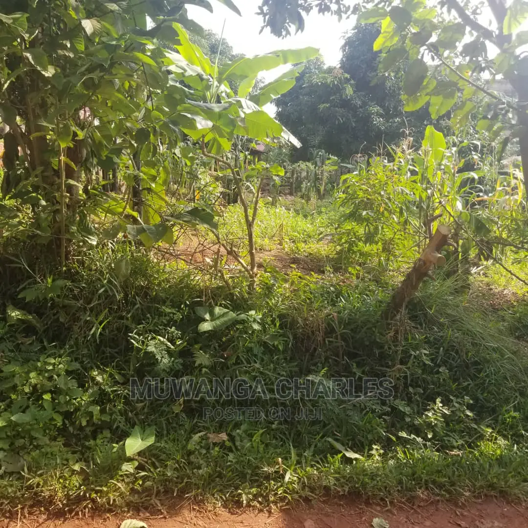 100by50ft Plot in Kira on Quick Sale in Central Division