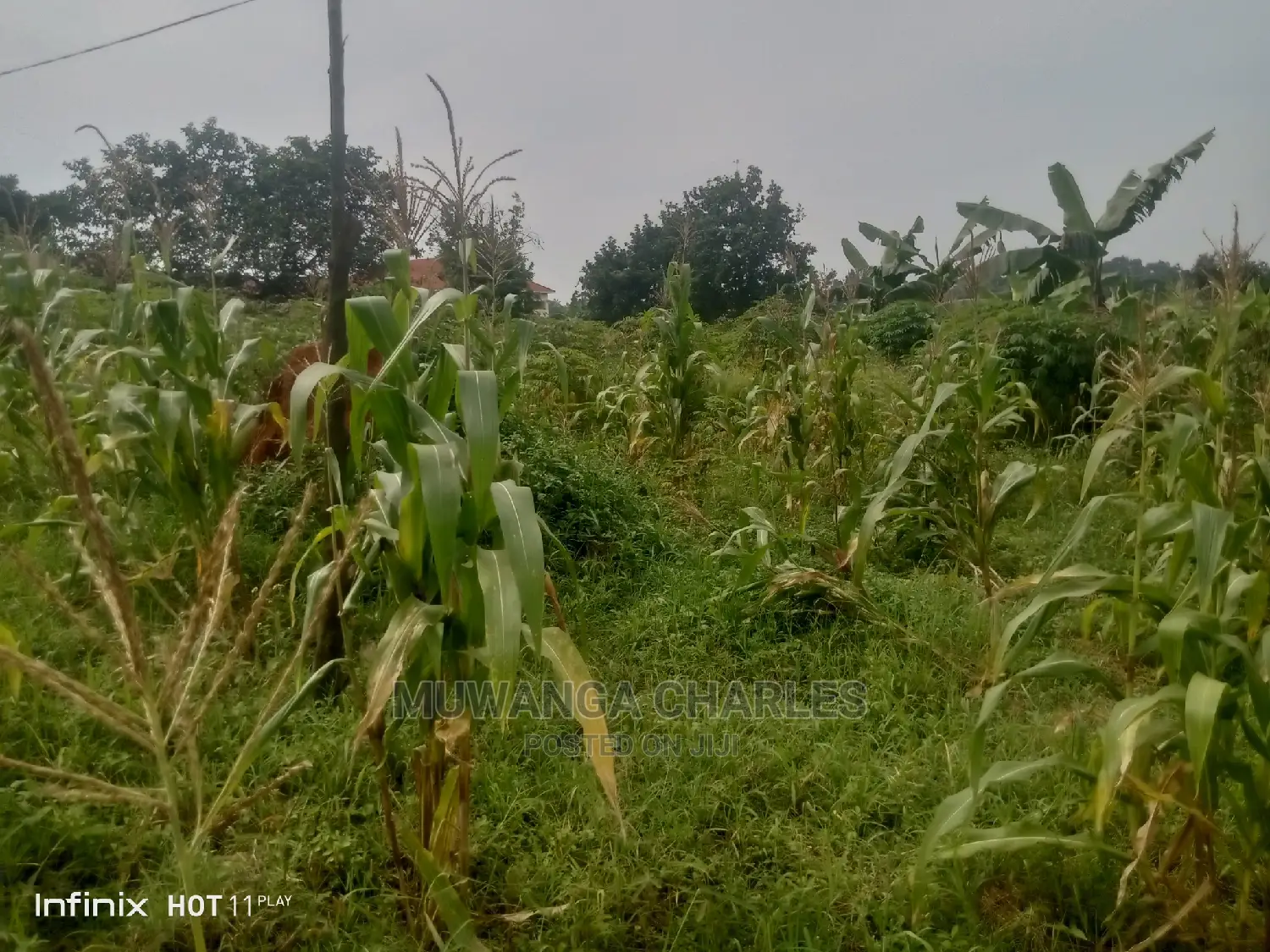 2.5acres Of Land In Namugongo Sonde On Quick Sale in Central Division