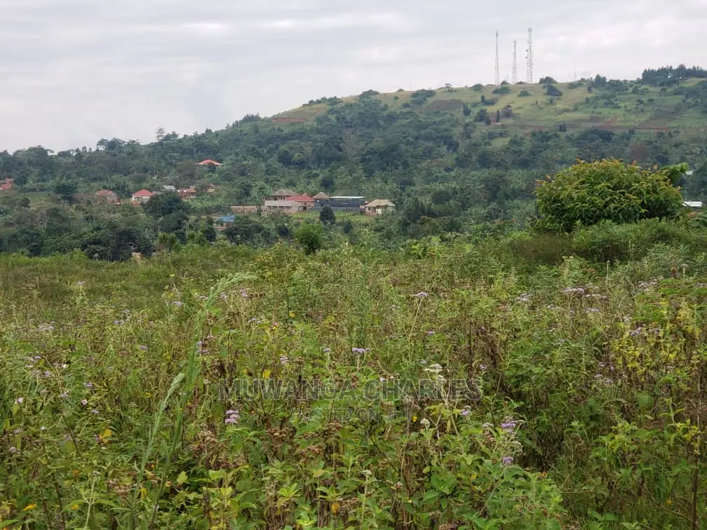 Plots in Kiwenda on Quick Sale in Central Division