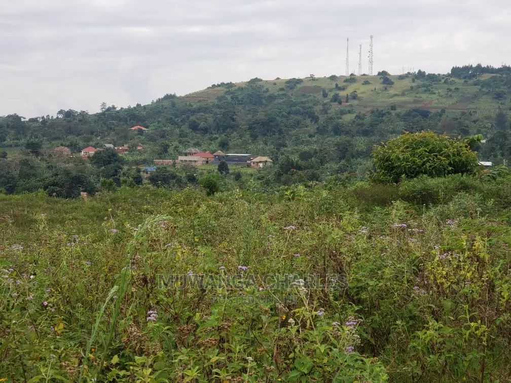 Plots in Kiwenda on Quick Sale in Central Division