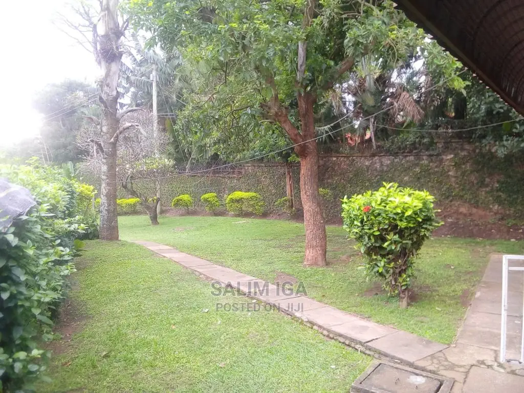 Furnished 2bdrm Chalet in Kololo Property, Central Division for rent in Central Division