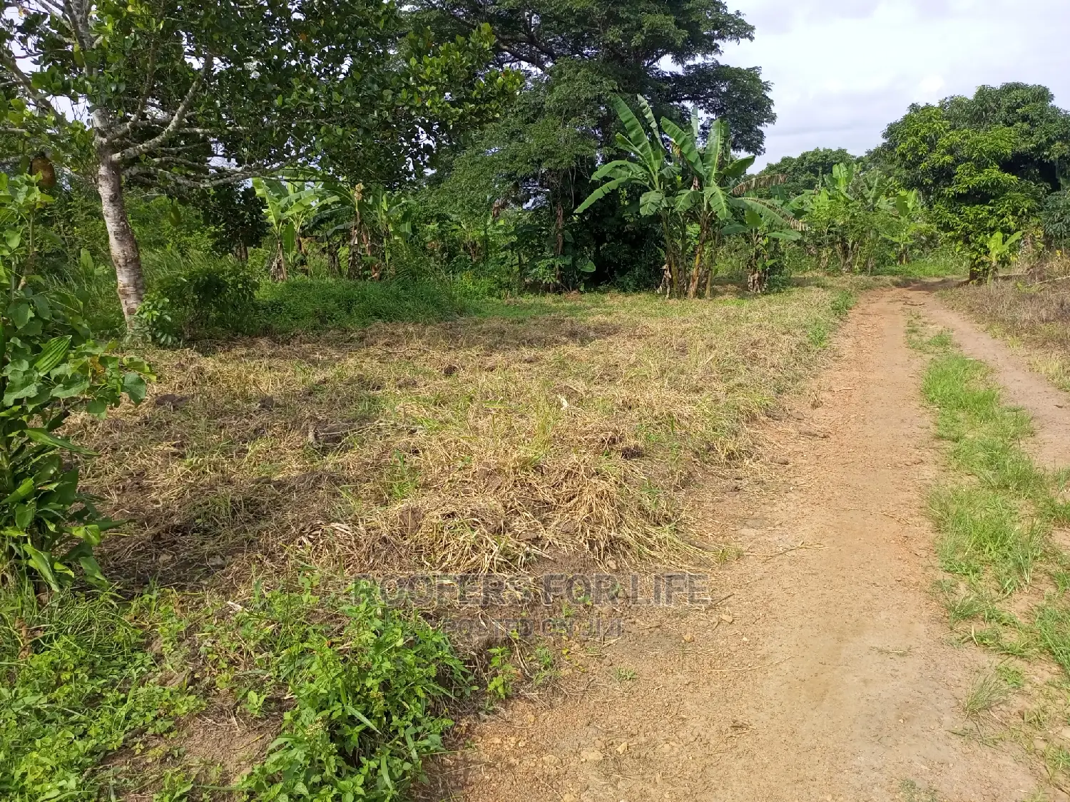 50*100fts Plots on Sale in Kakiri