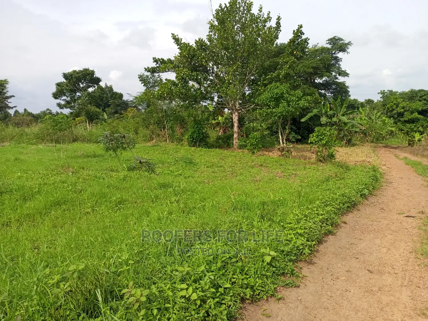 50*100fts Plots on Sale in Kakiri