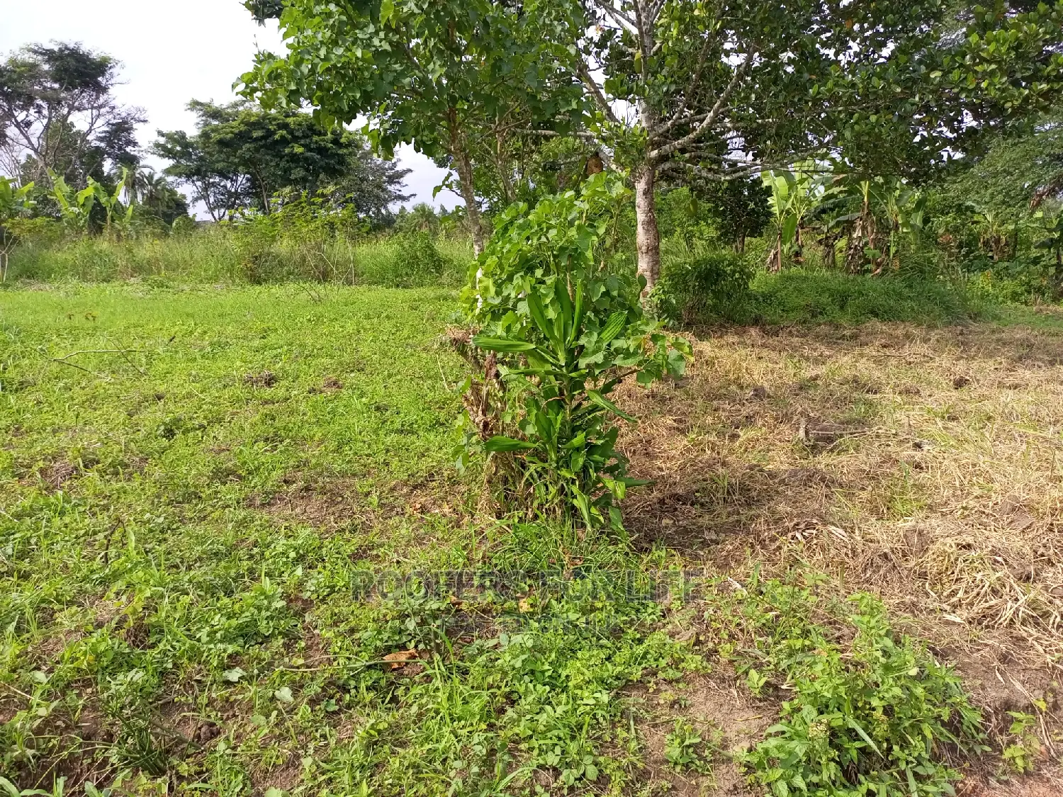 50*100fts Plots on Sale in Kakiri