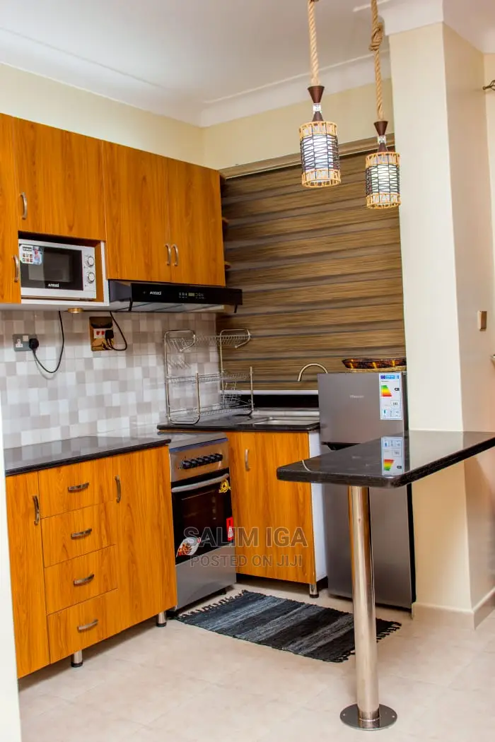 Furnished 1bdrm Chalet in Kololo Property, Central Division for rent in Central Division