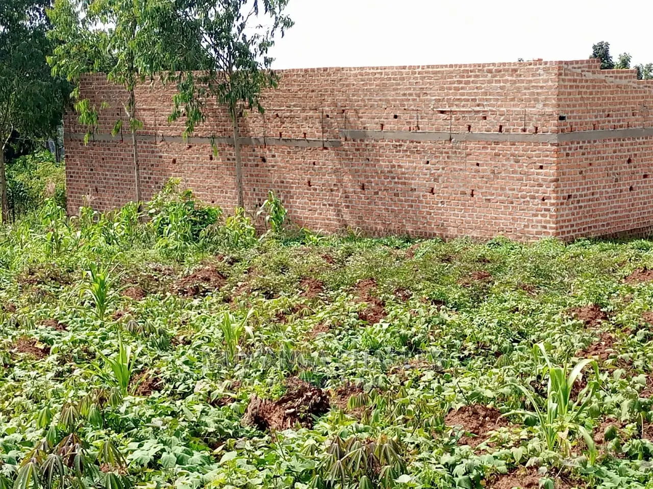 Plot in Kitetika Gayaza Road on Quick Sale in Central Division
