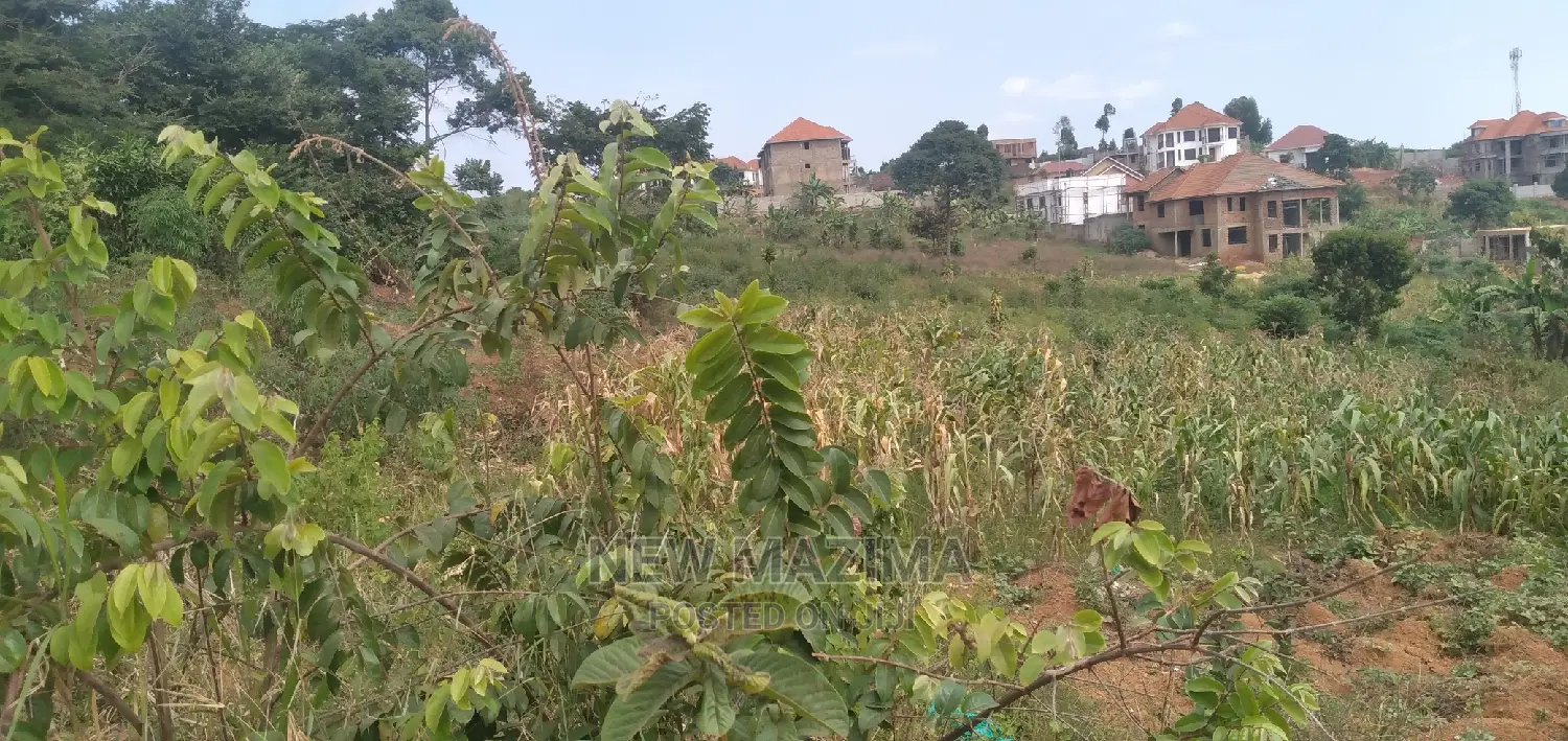 32decimals on Forcedsale in Kawuku Ntebe Rd With Ready Title in Central Division