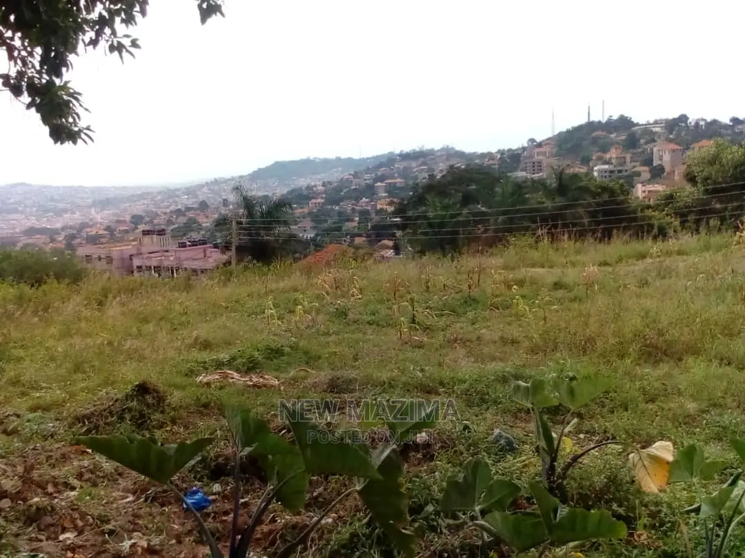 35 Decimals on Forced Sale in Heart of Buziga Heights in Central Division