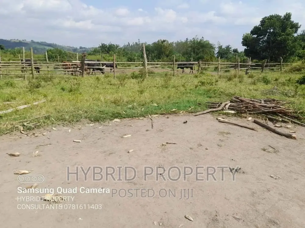 Fertile 100acres of Land for Leasing/Rent at Kalege~Busunju. in Ssekanyonyi