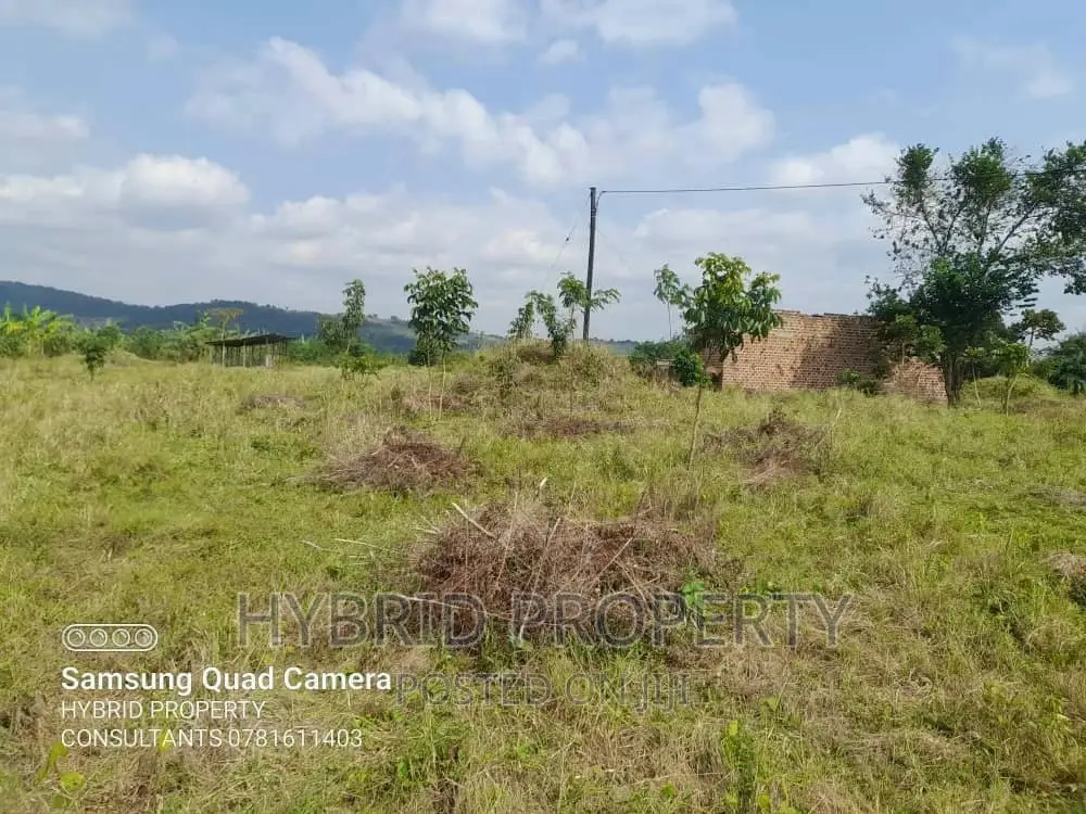 Fertile 100acres of Land for Leasing/Rent at Kalege~Busunju. in Ssekanyonyi