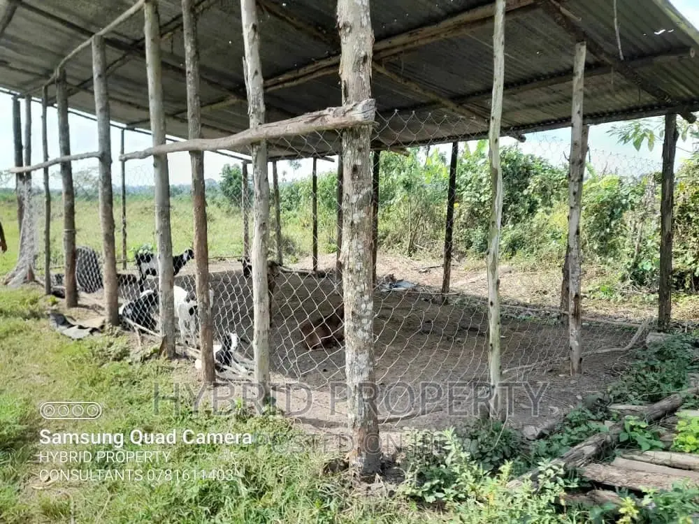 Fertile 100acres of Land for Leasing/Rent at Kalege~Busunju. in Ssekanyonyi