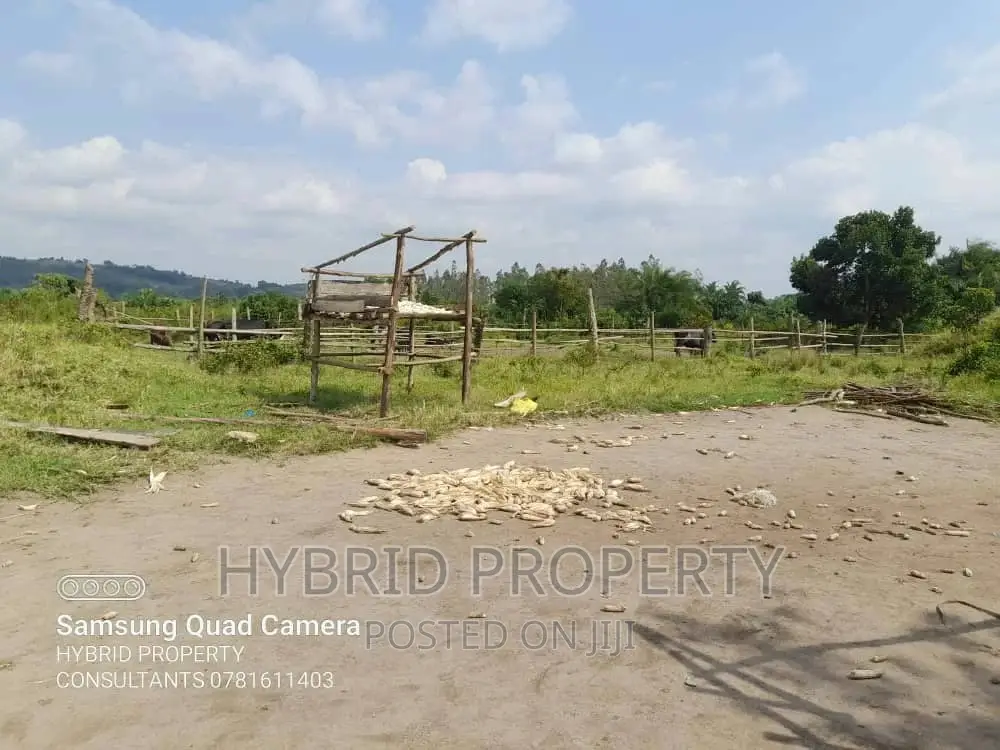 Fertile 100acres of Land for Leasing/Rent at Kalege~Busunju. in Ssekanyonyi
