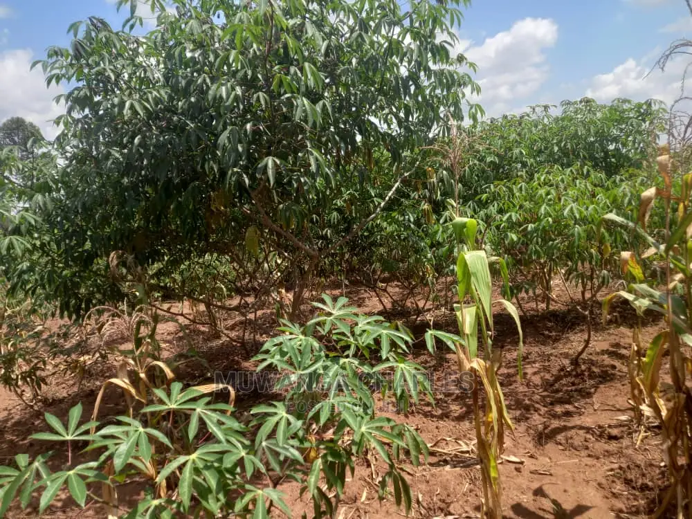 Land in Zirobwe Kyetume on Quick Sale in Division A