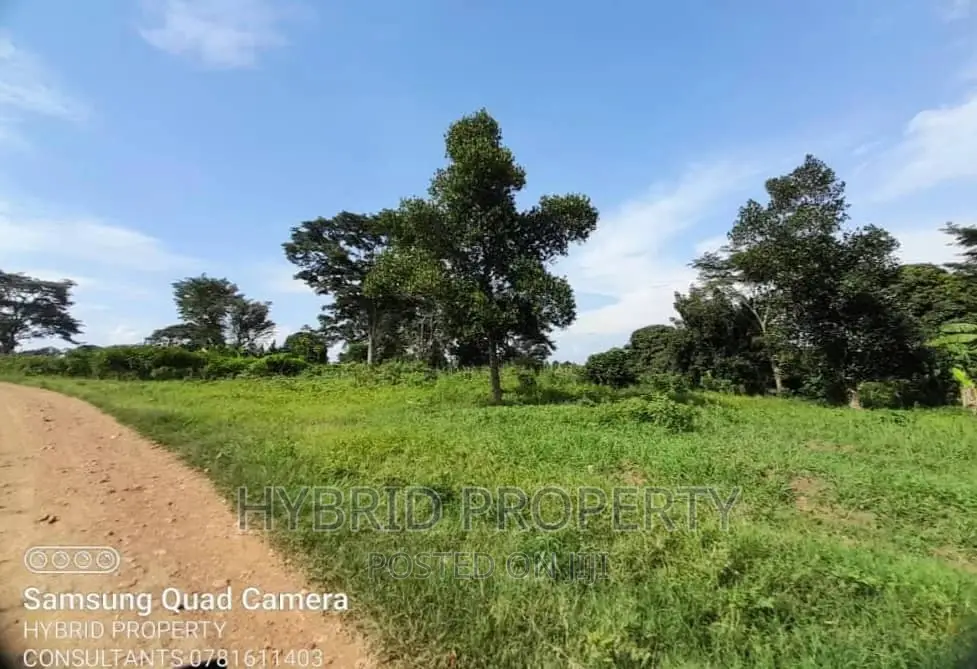 100acres of Fertile Land for Sale at Busunju Along Hoima Rd. in Ssekanyonyi