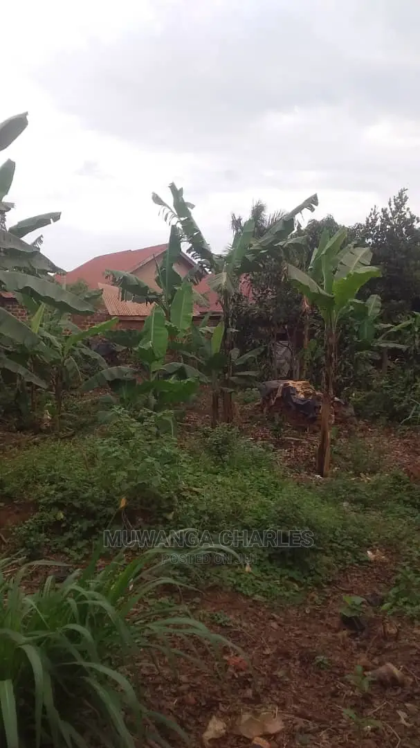 Plot's for Sale in Gayaza in Central Division