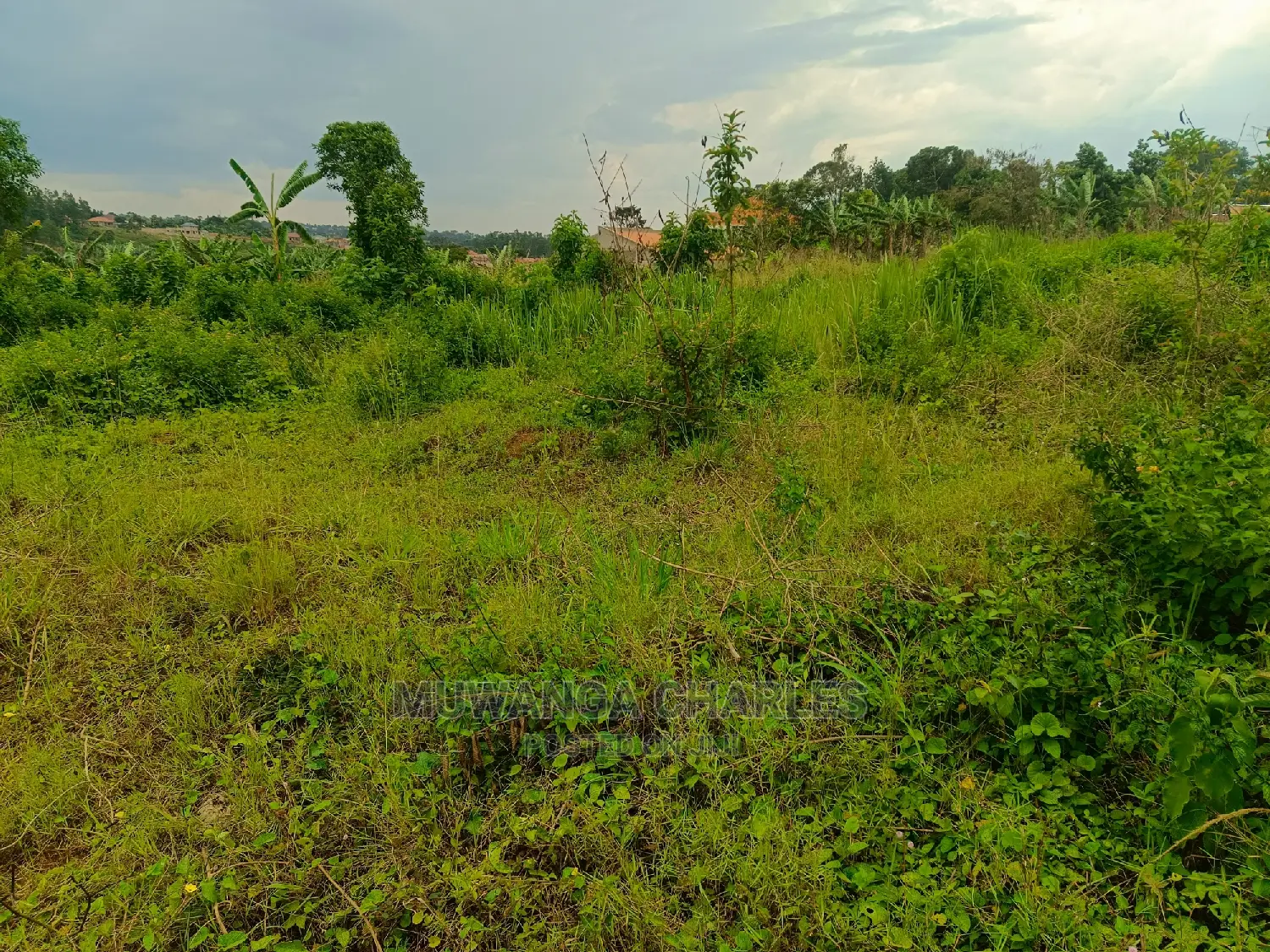 Plot for Sale in Gayaza Nakwero in Central Division