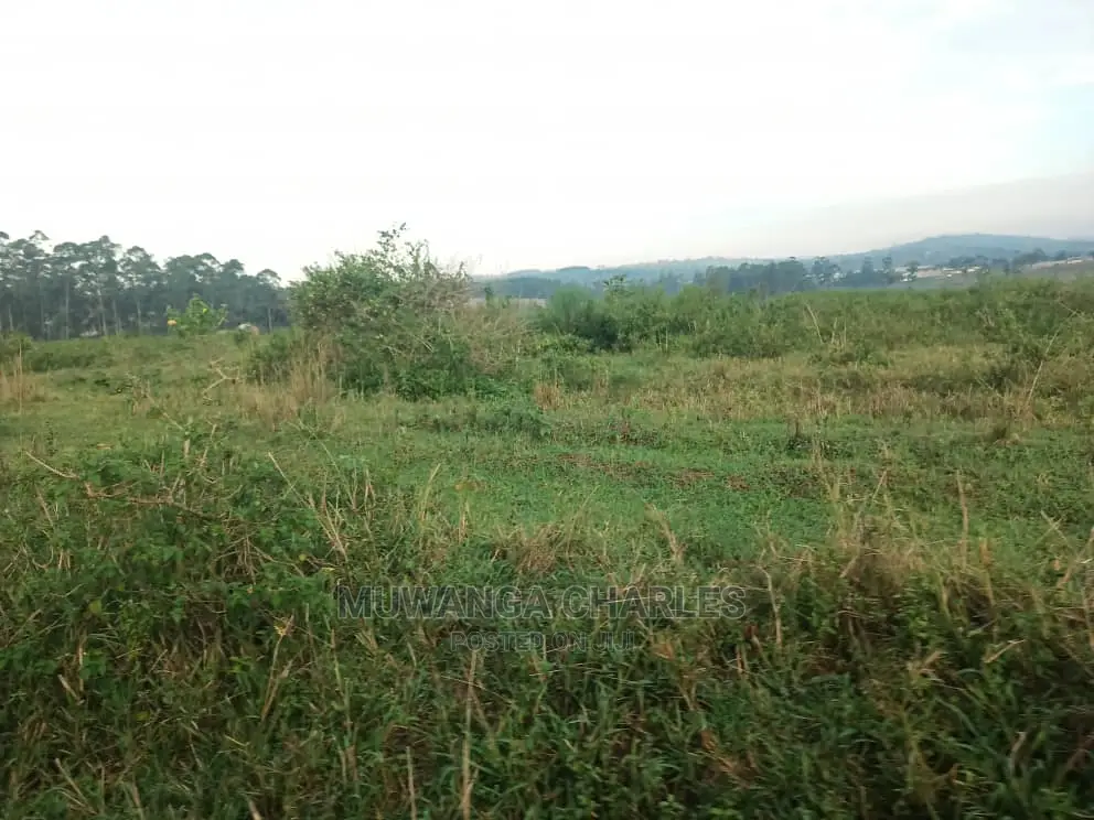 Plot for Sale in Gayaza Kayebe in Central Division