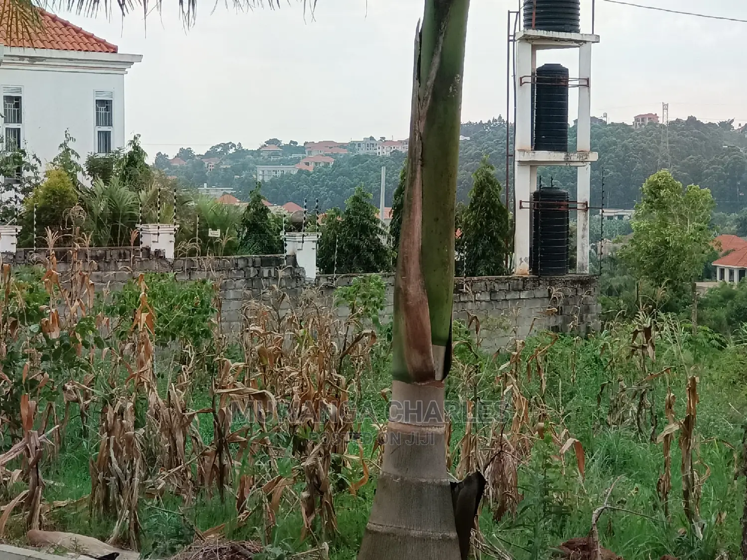 Plot's for Sale in Kyanja in Central Division