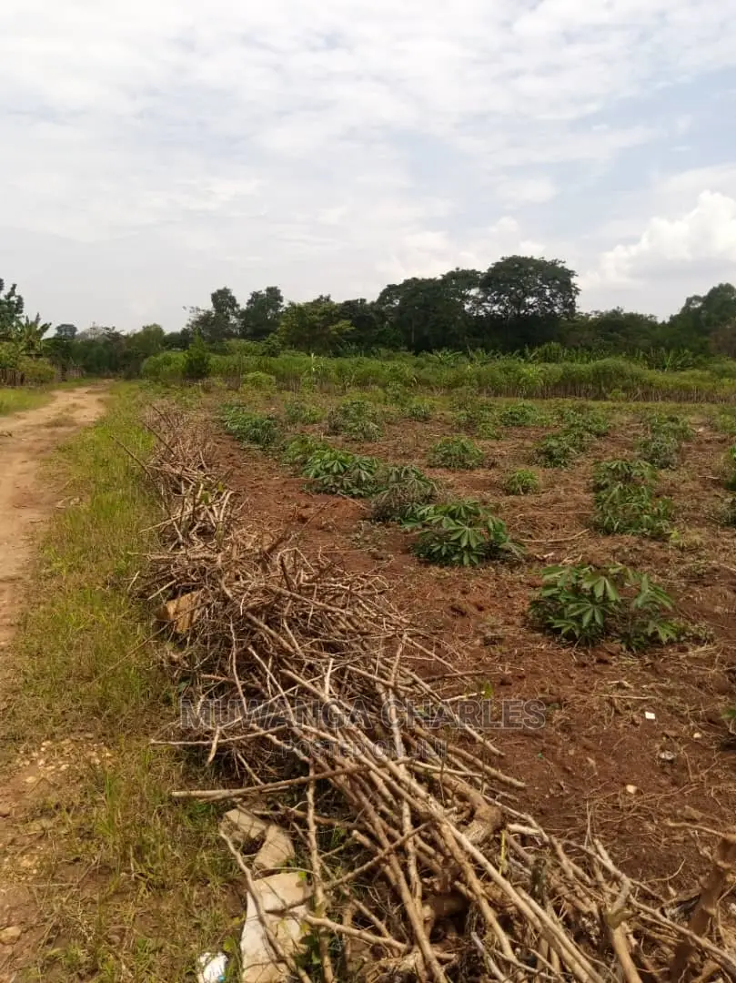 Plot's for Sale in Gayaza Kimwanyi in Central Division