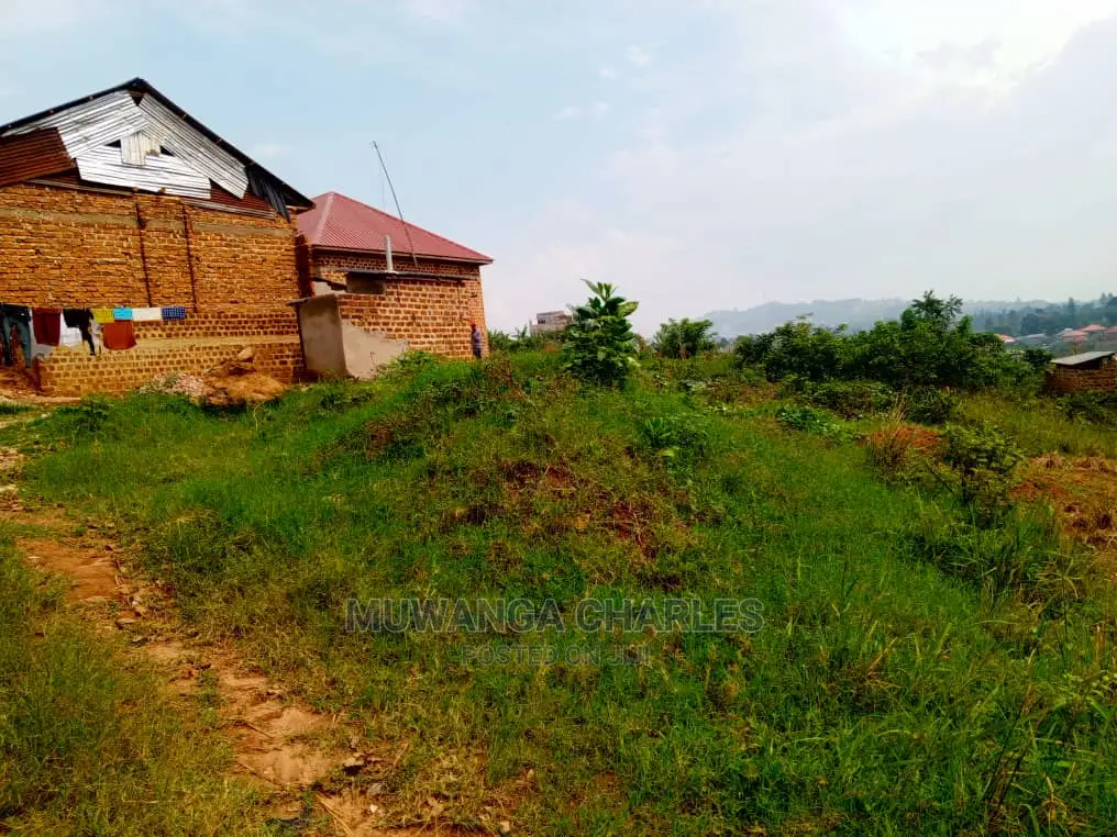 Plot's for Sale in Bugema Kalungu in Central Division
