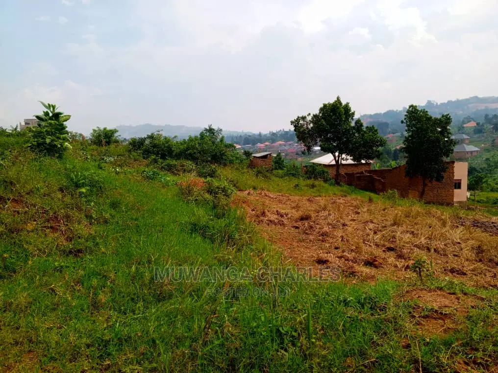 Plot's for Sale in Bugema Kalungu in Central Division