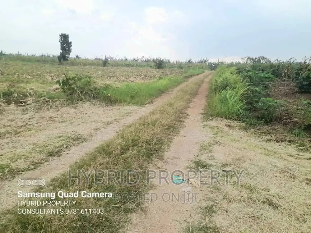 Fertile 30acres of Land for Sale at Bujjuko~Nkambo Along Mityana Rd. in Muduma