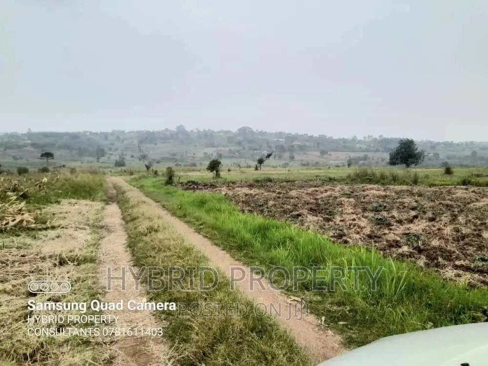 Fertile 30acres of Land for Sale at Bujjuko~Nkambo Along Mityana Rd. in Muduma