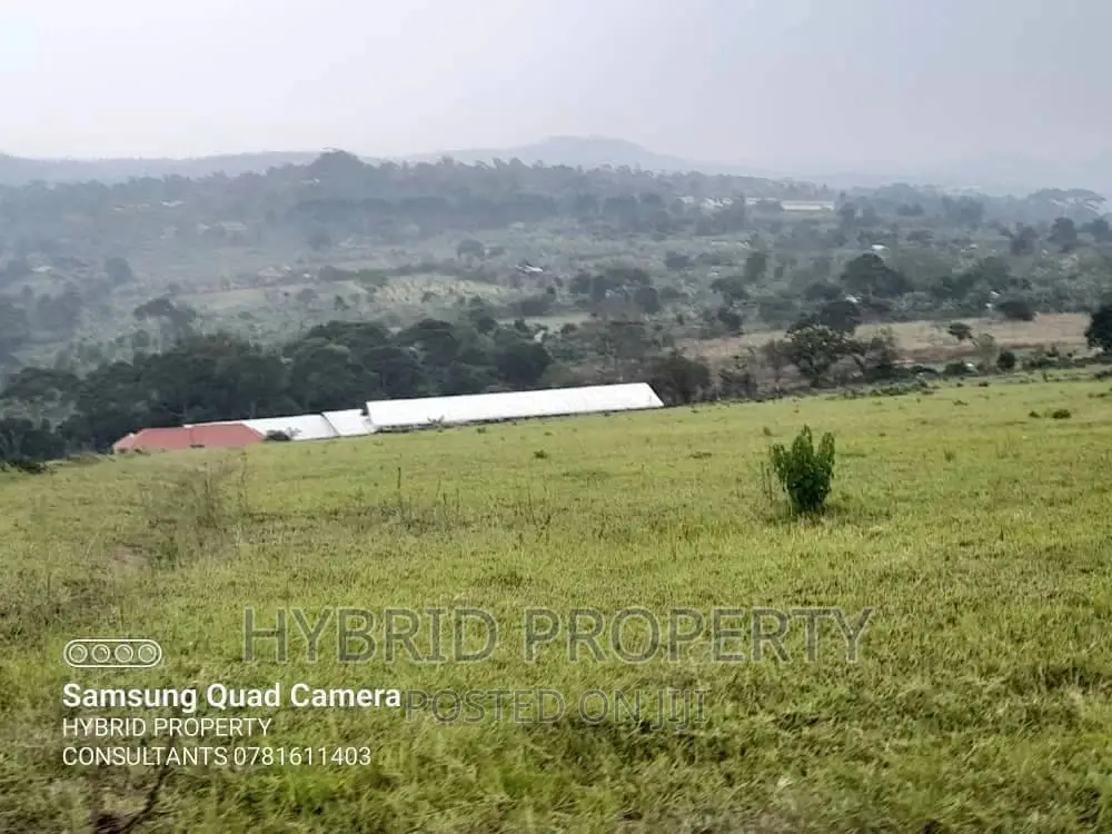 Fertile 30acres of Land for Sale at Bujjuko~Nkambo Along Mityana Rd. in Muduma